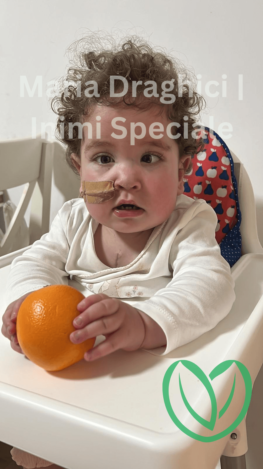 Maria after Glenn operation